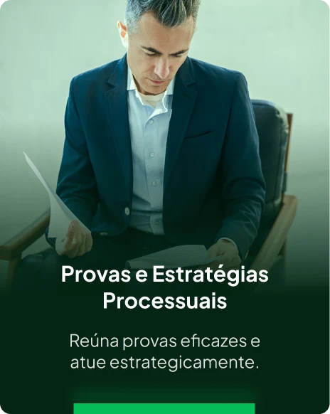 Provas e Estratégias Processuais